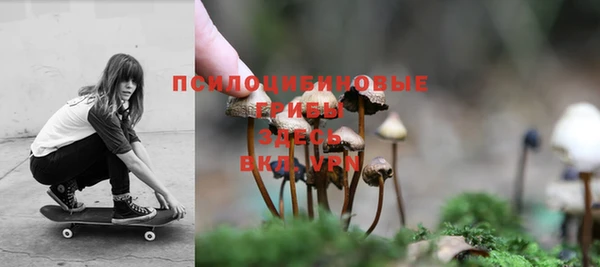 прущий лед Лиски