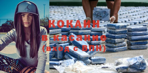 сатива Кохма