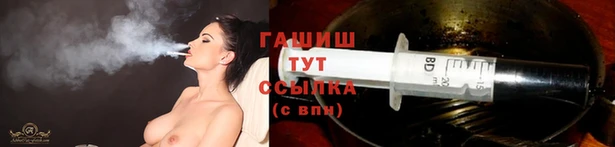 индика Богданович